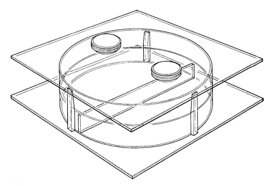 Illustration of a choice chamber