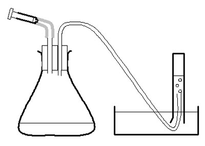 Apparatus for investigation of an enzyme-controlled reaction