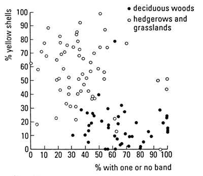 Banded snail Populations graph
