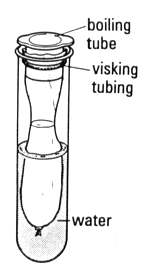 Setting up the Visking tubing 