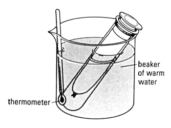 Boiling tubes containing model guts in a water bath