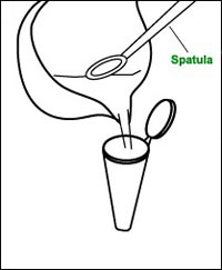 Scrape paste into centrifuge tube