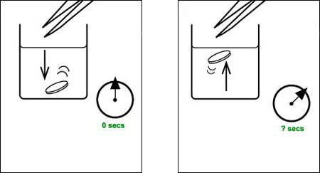 Noting time taken for disc to rise to surface of hydrogen peroxide solution, then removing paper disc