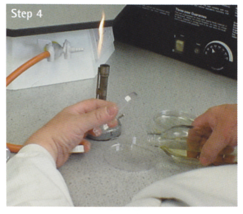 Pour the sterile molten agar into the Petri dish