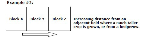 Randomised block layout