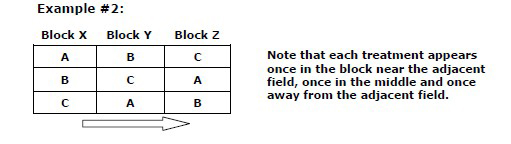 Randomised block layout