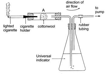 Apparatus set-up for collecting chemicals from lit cigarette